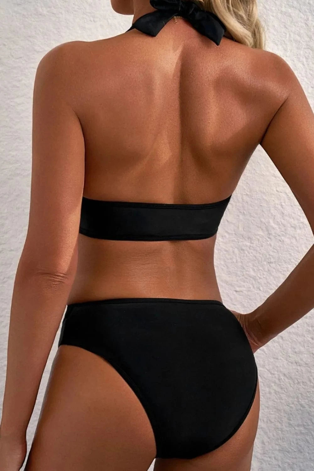 Sheer Mesh Edged Halter V Neck Push Up Bikini Set Vneck push up Bikini set