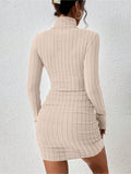 Ribbed Turtleneck Bodycon Mini Dress