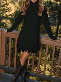Fringe Turtleneck Sweater Dress
