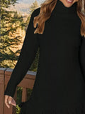 Fringe Turtleneck Sweater Dress