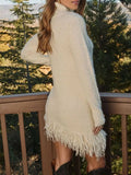 Fringe Turtleneck Sweater Dress