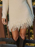 Fringe Turtleneck Sweater Dress