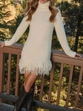 Fringe Turtleneck Sweater Dress