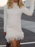 Fringe Turtleneck Sweater Dress