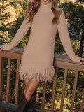 Fringe Turtleneck Sweater Dress