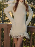 Fringe Turtleneck Sweater Dress