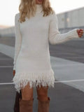 Fringe Turtleneck Sweater Dress