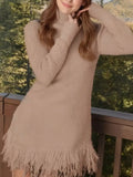 Fringe Turtleneck Sweater Dress