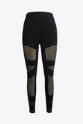 Mesh Leggings for Women Black / XS