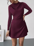 Mock Neck Long Sleeve Mini Dress