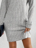 Ribbed Knit Turtleneck Mini Dress