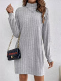 Ribbed Knit Turtleneck Mini Dress