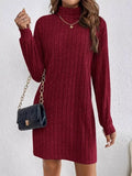 Ribbed Knit Turtleneck Mini Dress Wine Red / S
