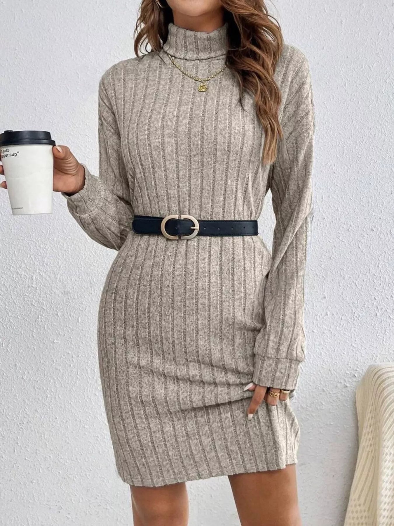 Ribbed Knit Turtleneck Mini Dress
