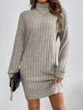 Ribbed Knit Turtleneck Mini Dress
