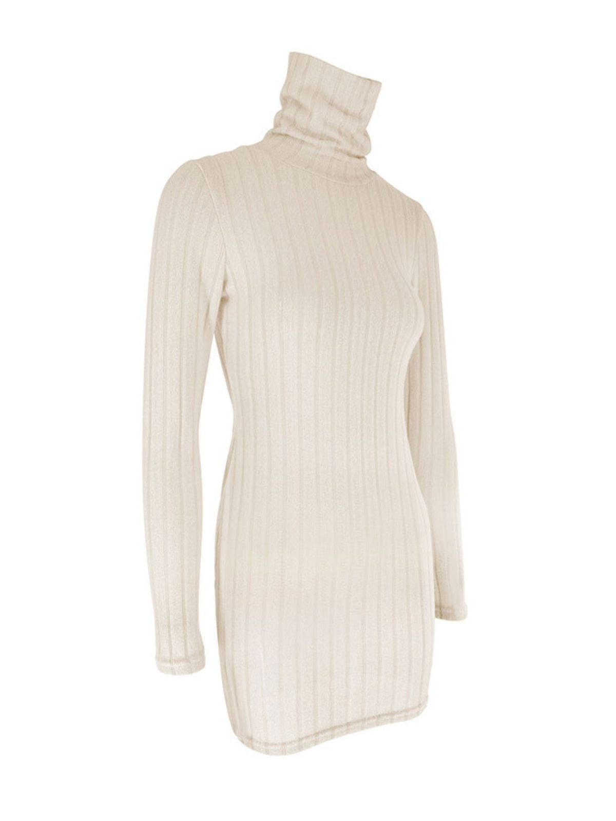 Ribbed Turtleneck Bodycon Mini Dress