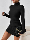 Ribbed Turtleneck Bodycon Mini Dress