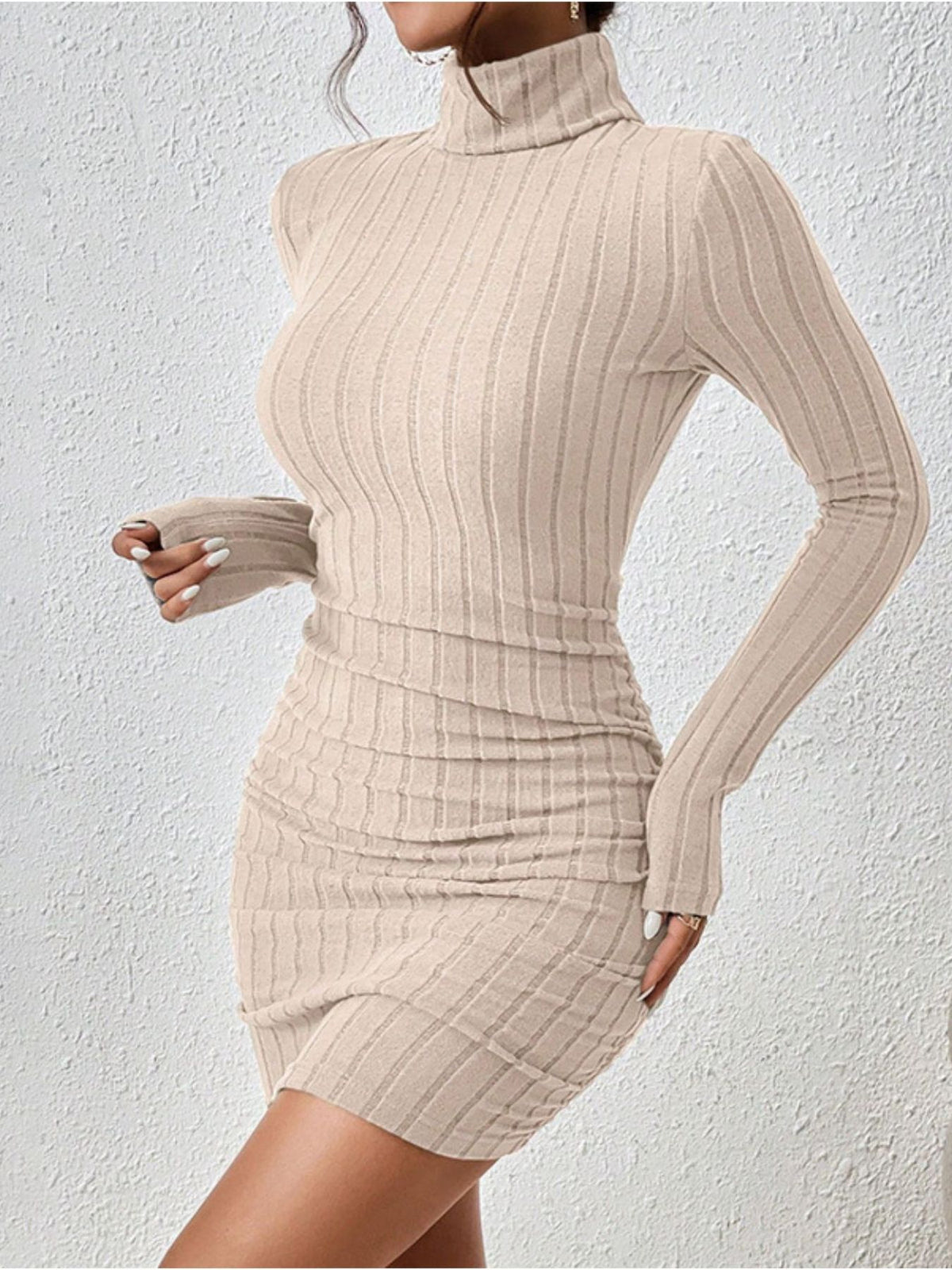 Ribbed Turtleneck Bodycon Mini Dress