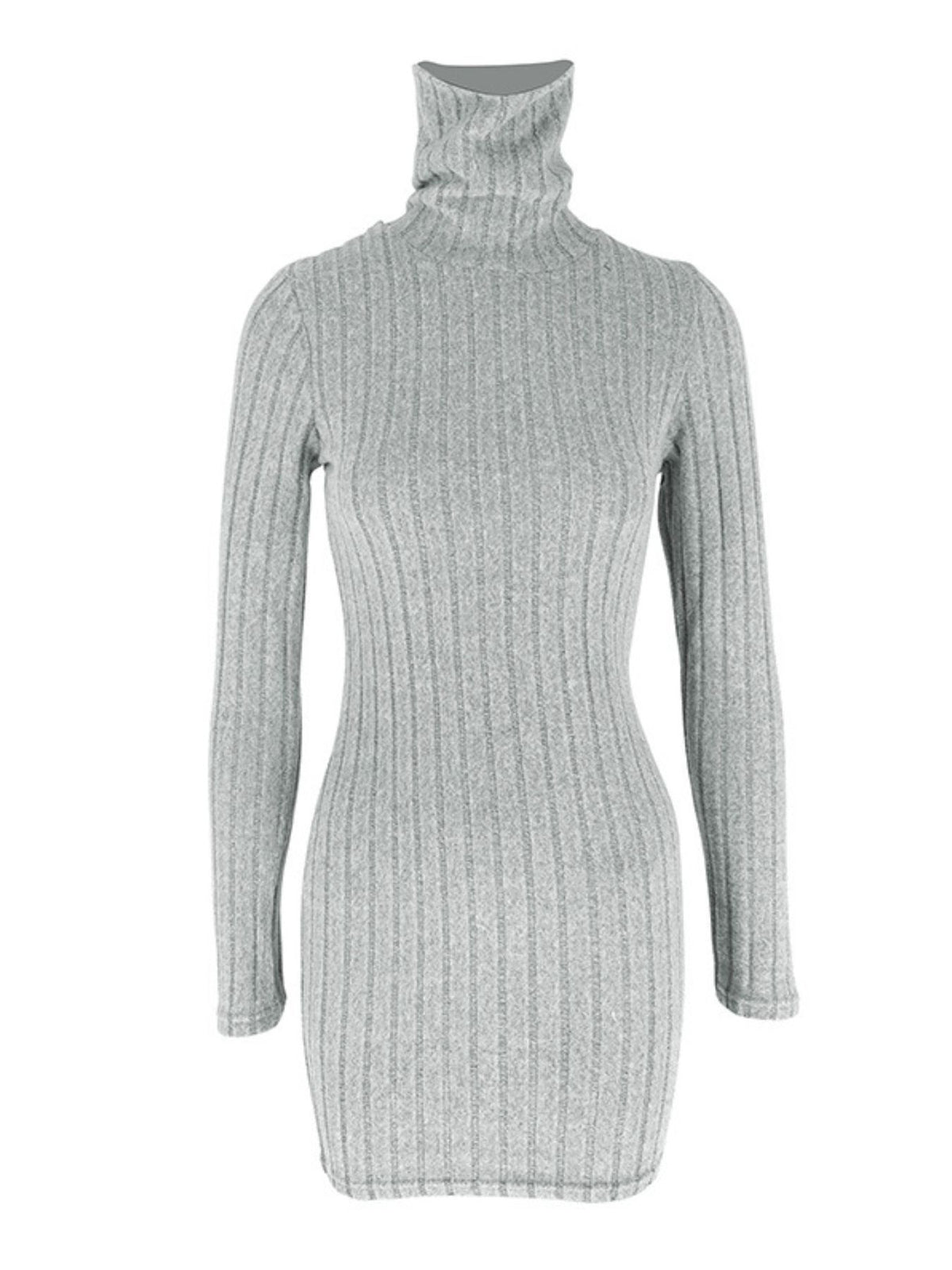Ribbed Turtleneck Bodycon Mini Dress