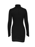 Ribbed Turtleneck Bodycon Mini Dress