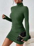 Ribbed Turtleneck Bodycon Mini Dress
