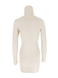 Ribbed Turtleneck Bodycon Mini Dress