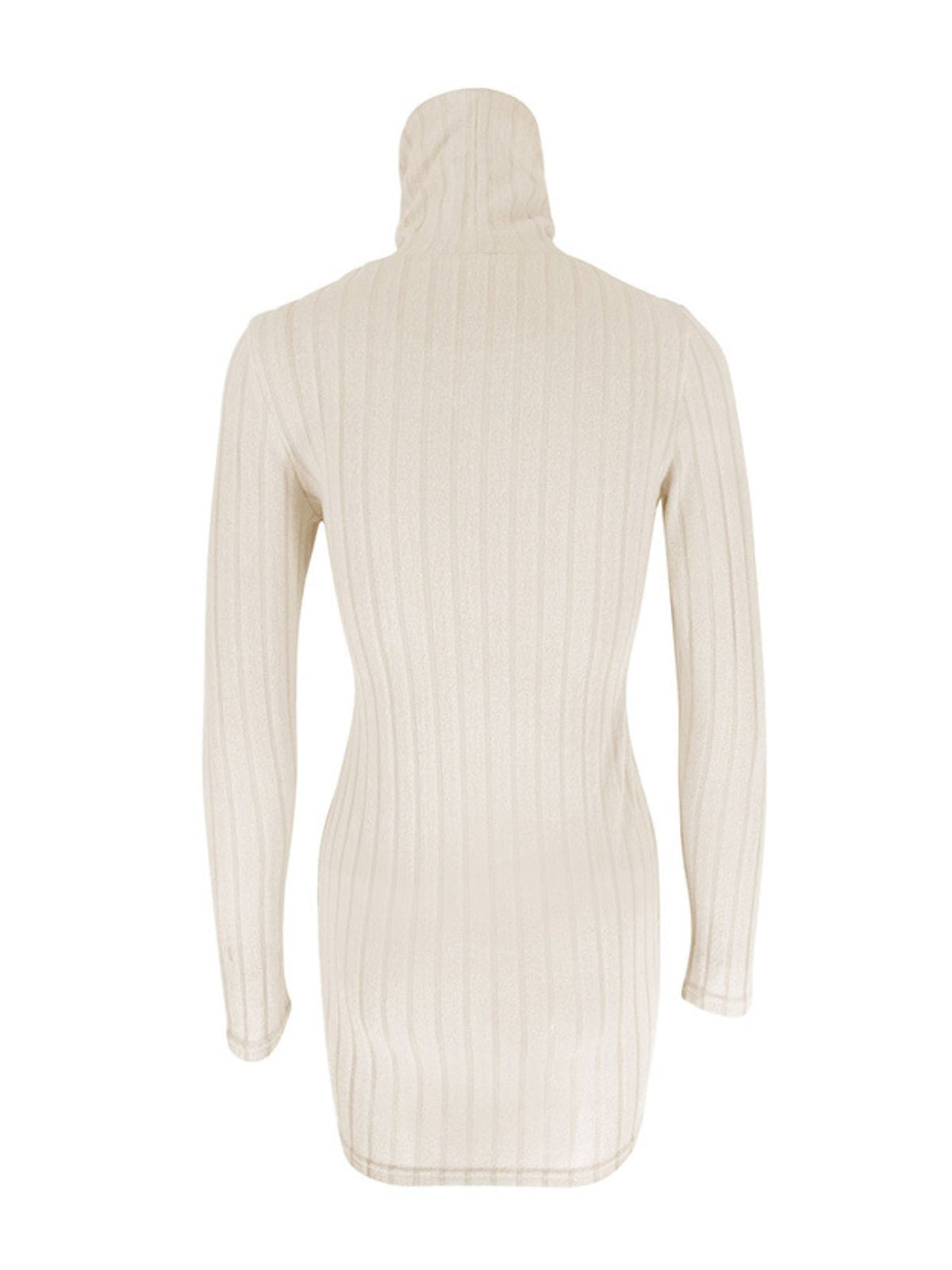 Ribbed Turtleneck Bodycon Mini Dress