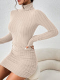Ribbed Turtleneck Bodycon Mini Dress