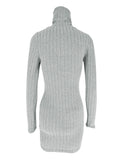 Ribbed Turtleneck Bodycon Mini Dress