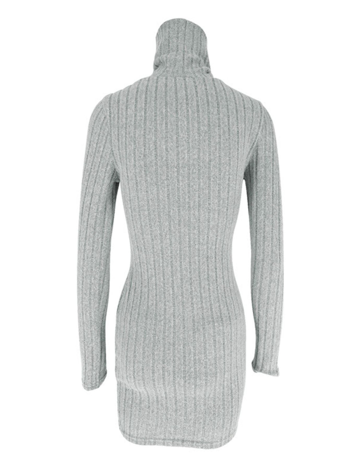 Ribbed Turtleneck Bodycon Mini Dress