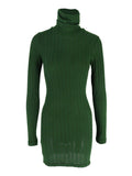 Ribbed Turtleneck Bodycon Mini Dress