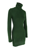 Ribbed Turtleneck Bodycon Mini Dress