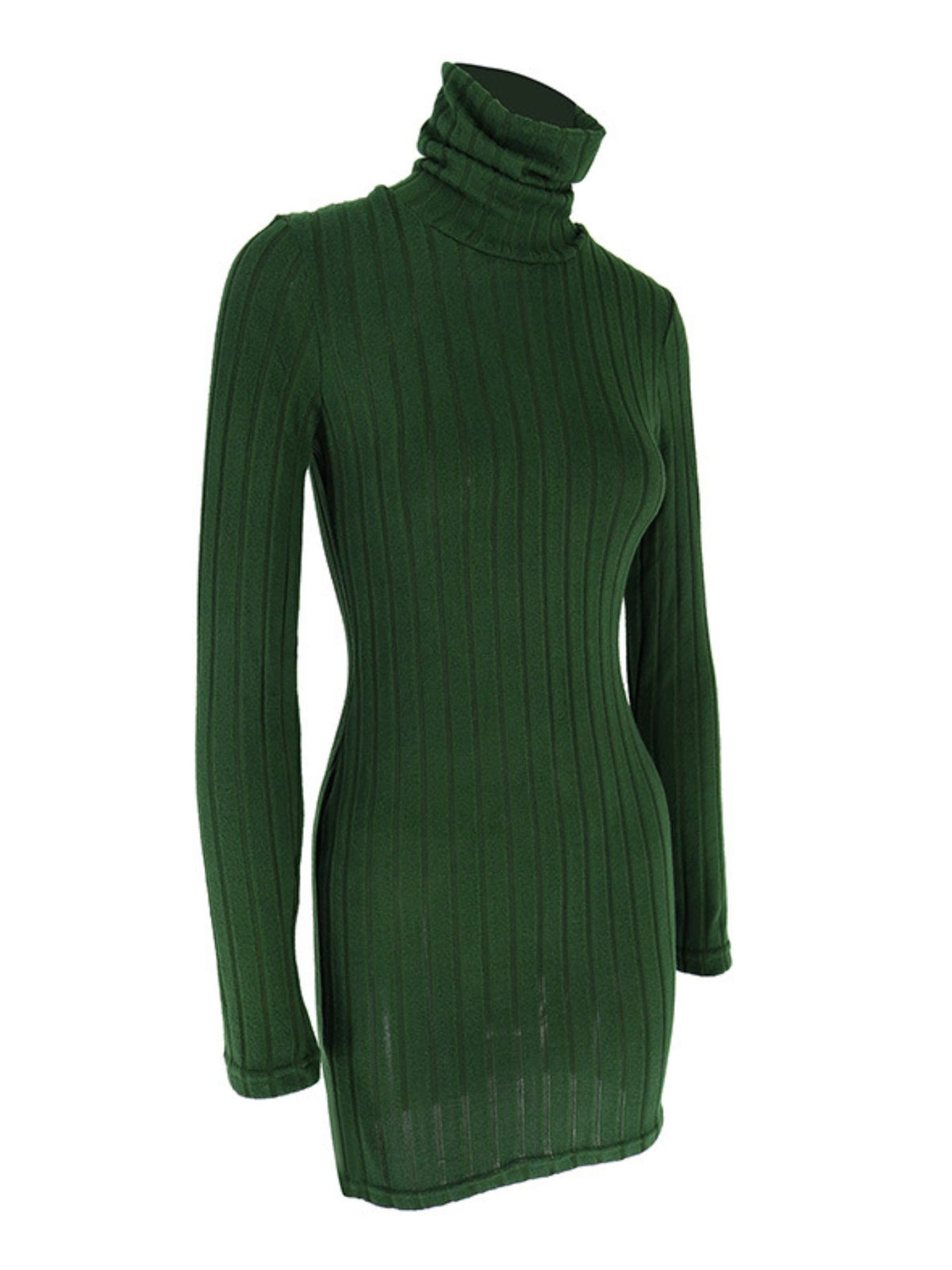 Ribbed Turtleneck Bodycon Mini Dress