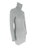 Ribbed Turtleneck Bodycon Mini Dress