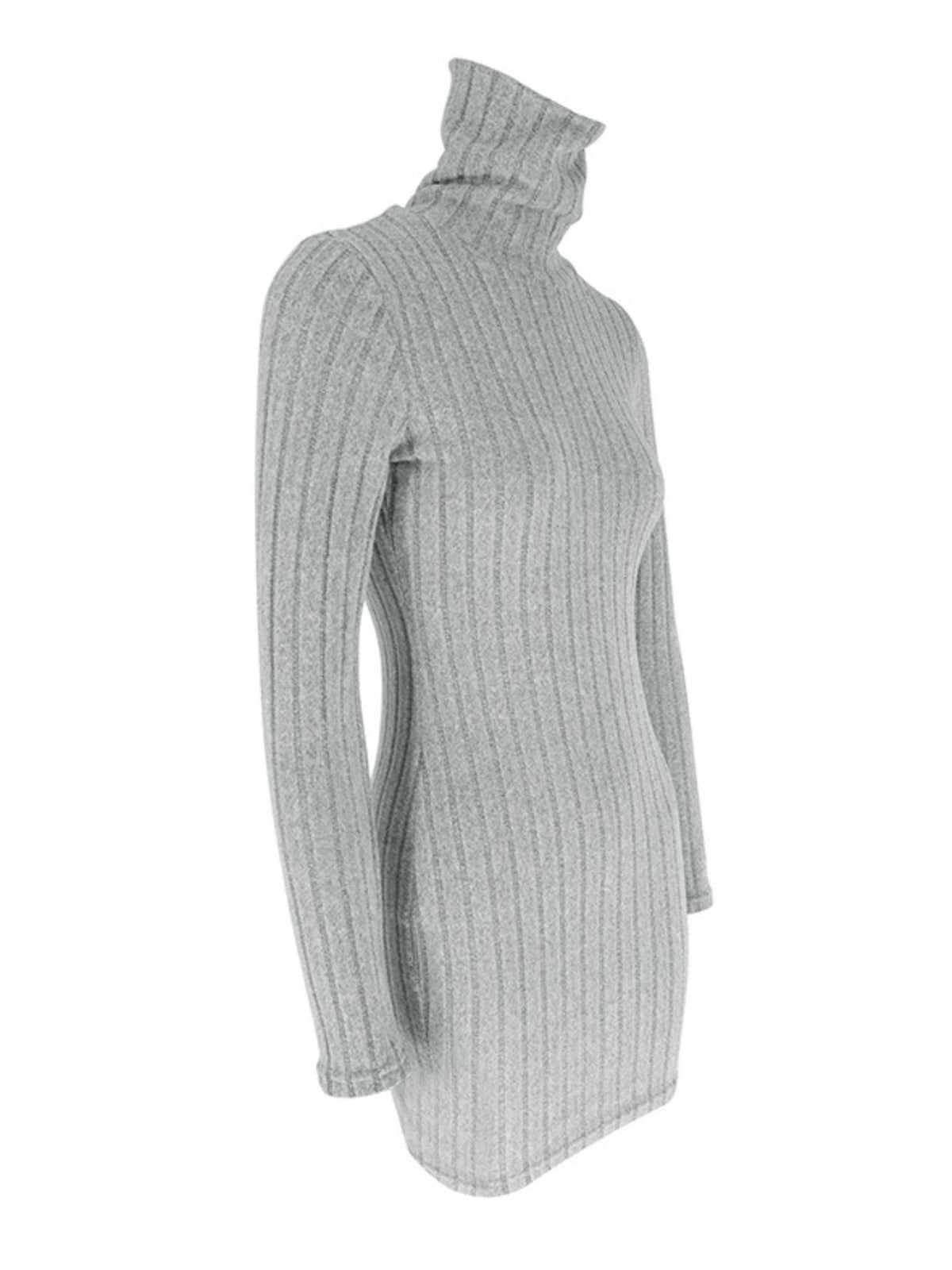 Ribbed Turtleneck Bodycon Mini Dress