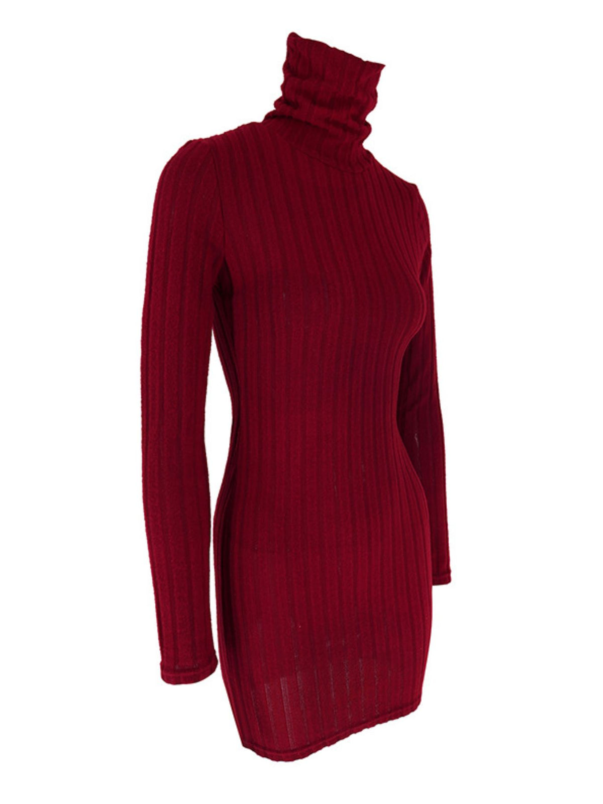 Ribbed Turtleneck Bodycon Mini Dress