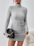 Ribbed Turtleneck Bodycon Mini Dress
