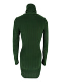 Ribbed Turtleneck Bodycon Mini Dress