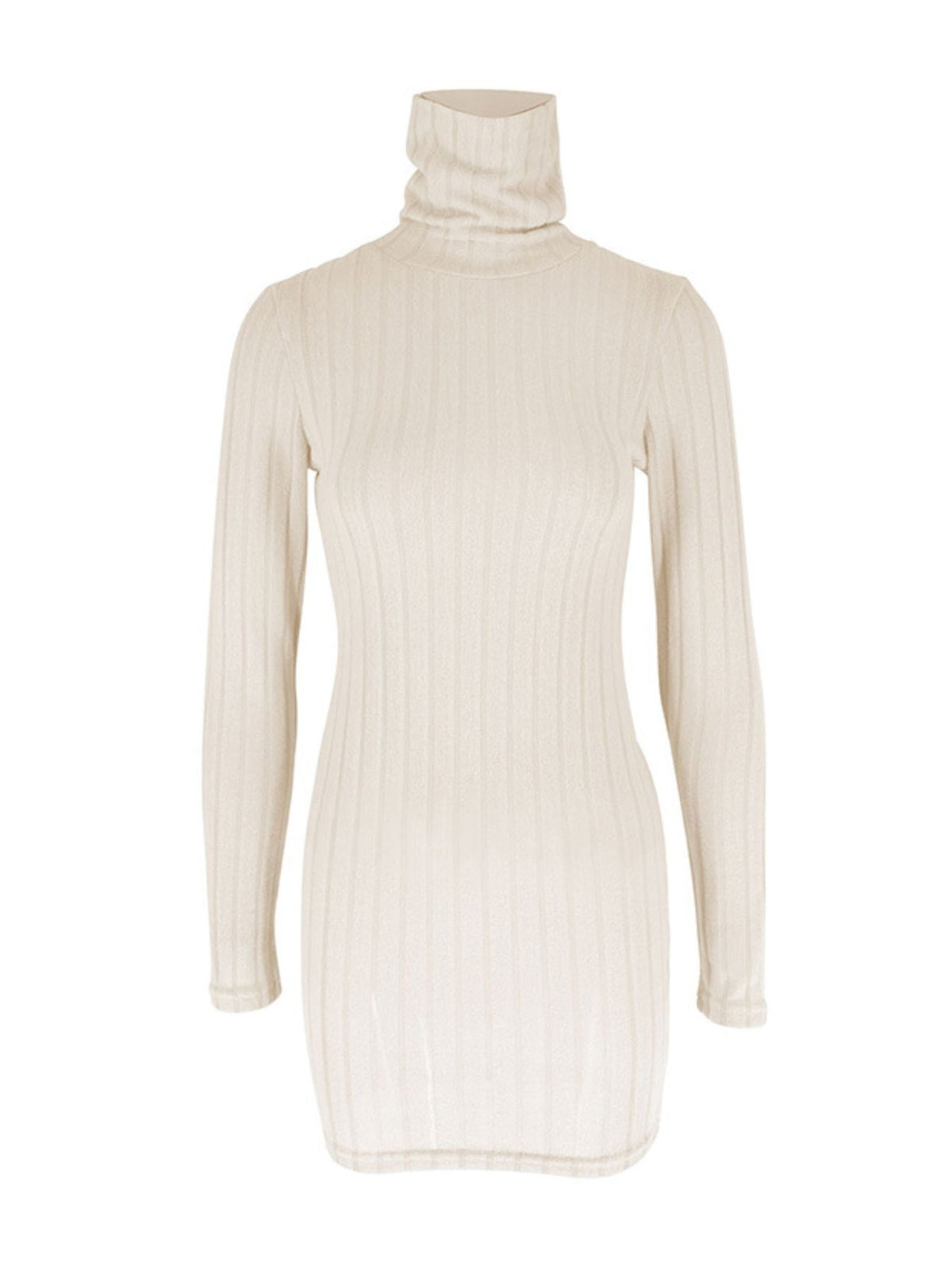 Ribbed Turtleneck Bodycon Mini Dress