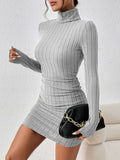 Ribbed Turtleneck Bodycon Mini Dress
