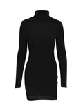 Ribbed Turtleneck Bodycon Mini Dress