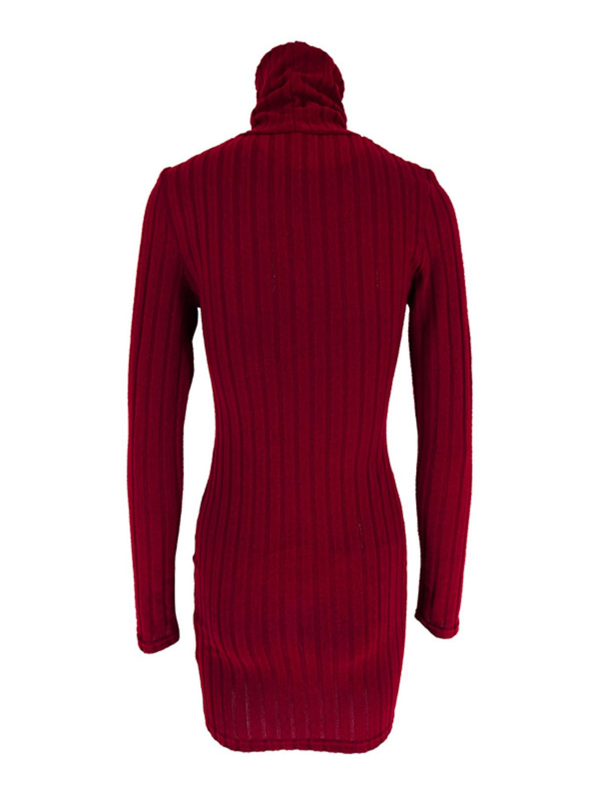 Ribbed Turtleneck Bodycon Mini Dress