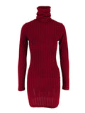 Ribbed Turtleneck Bodycon Mini Dress Red / S