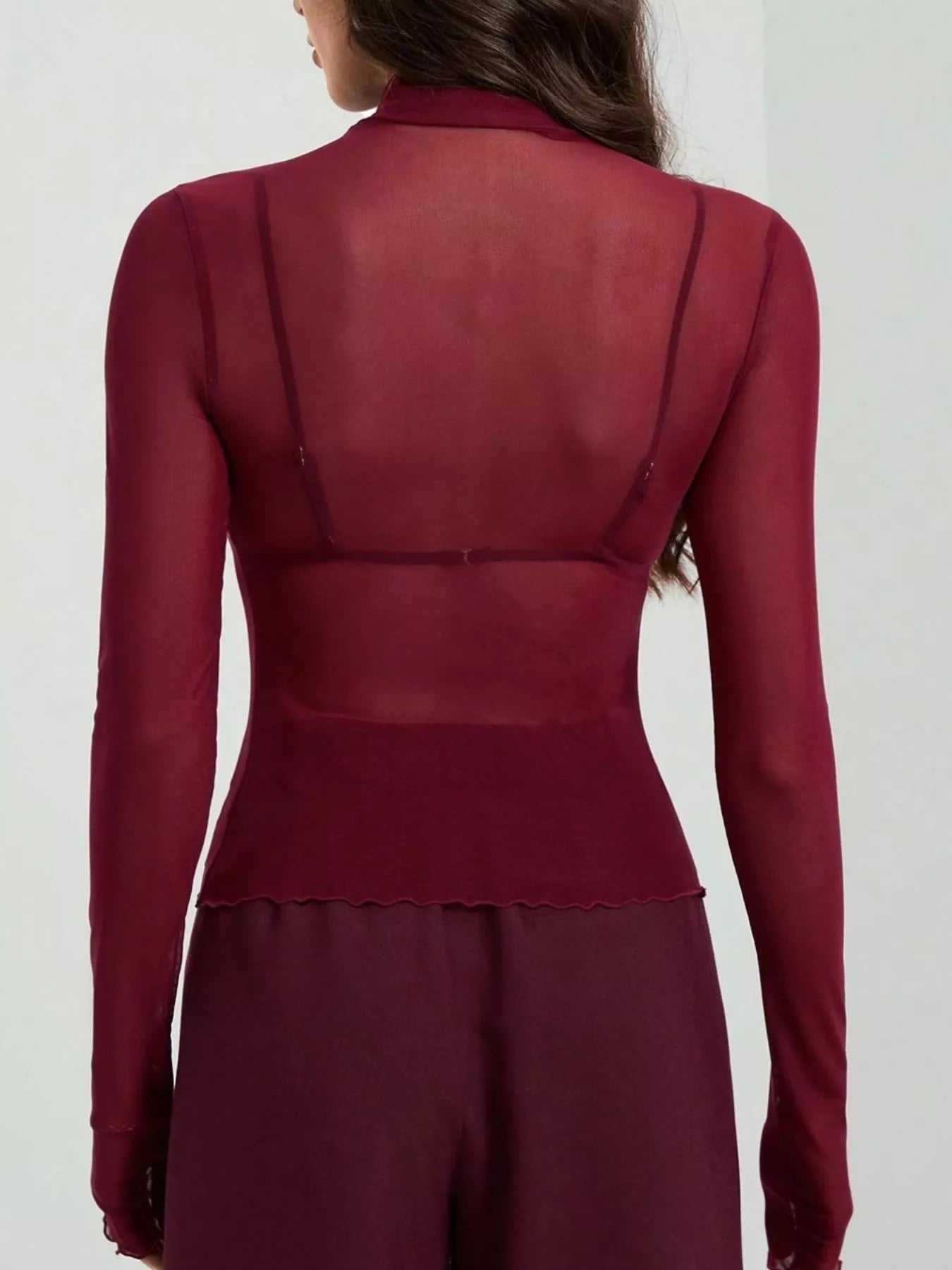 Sheer Mesh Turtleneck Top