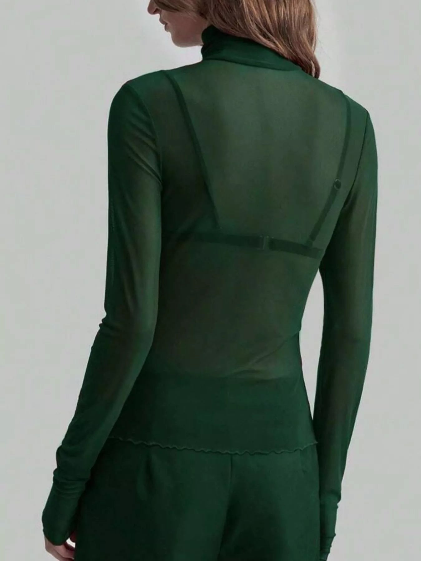 Sheer Mesh Turtleneck Top