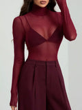 Sheer Mesh Turtleneck Top
