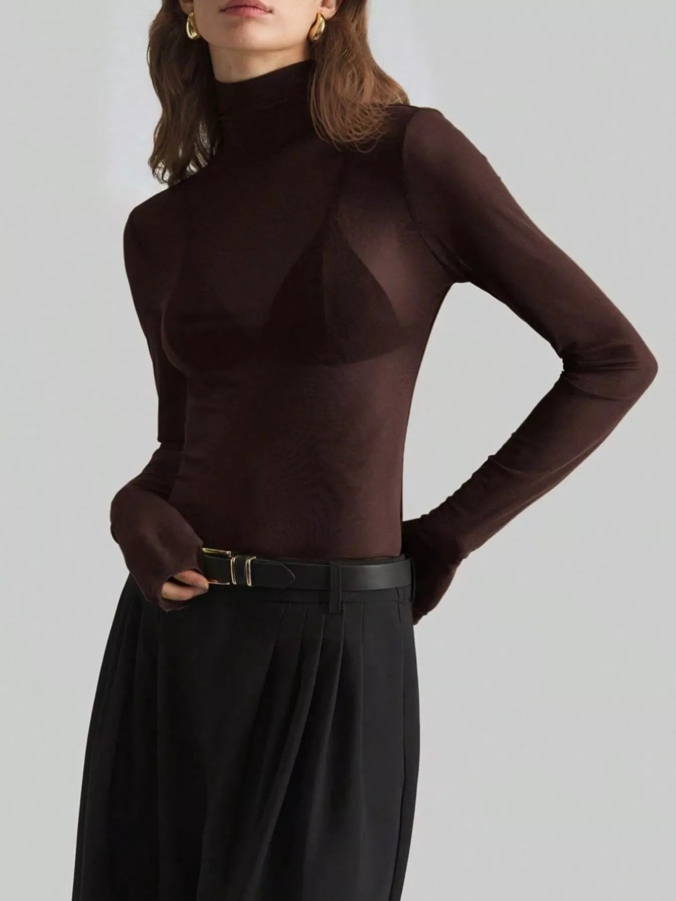 Sheer Mesh Turtleneck Top Chocolate / S