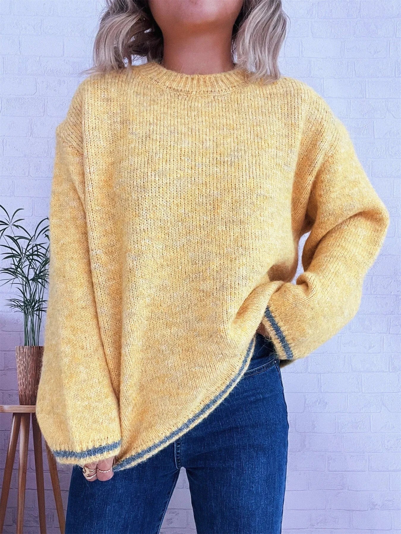 Contrast Trim Round Neck Cozy Sweater Tops and T-Shirts