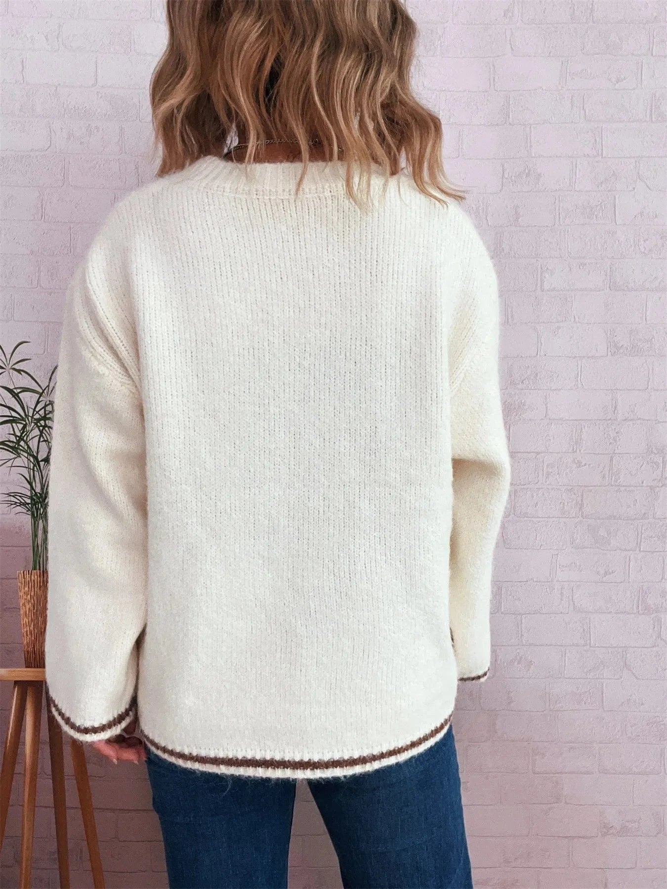 Contrast Trim Round Neck Cozy Sweater Tops and T-Shirts