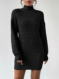 Turtleneck Long Sleeve Sweater Dress Black / S